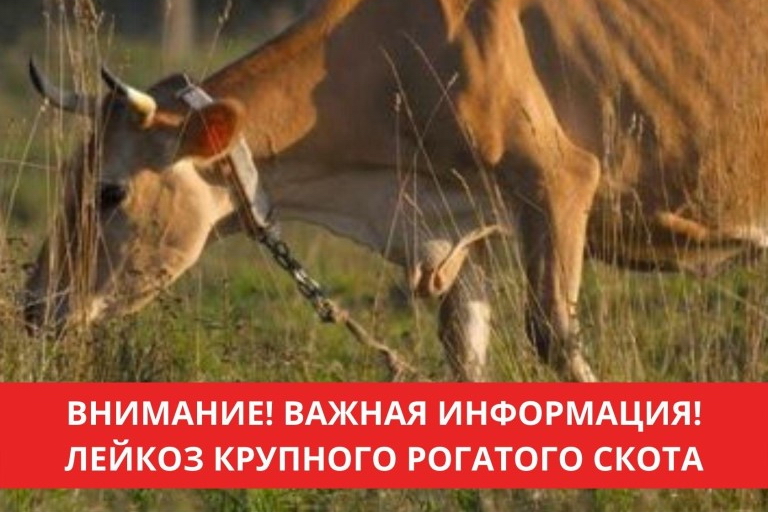 20220526_120136.jpg